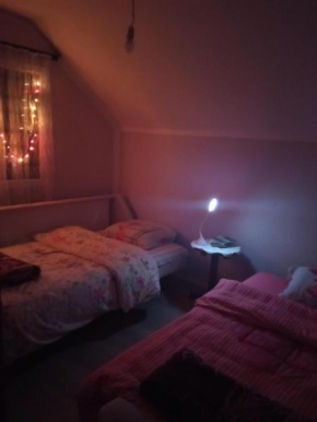 Apartman Vojin